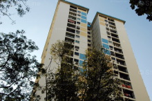Blk 106 Spottiswoode Park Road (Bukit Merah), HDB 5 Rooms #149582